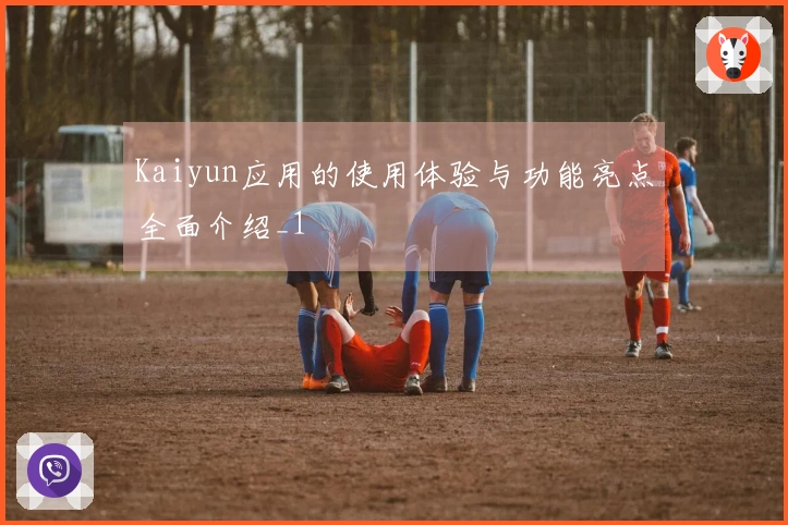 Kaiyun应用的使用体验与功能亮点全面介绍_1